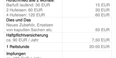 Wie viel kostet ein Arm-Tattoo im Vereinigten Königreich?