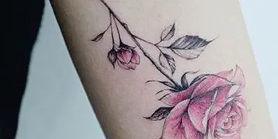 Arm Tattoo Girl 2020: Die heißesten Trends und Motive