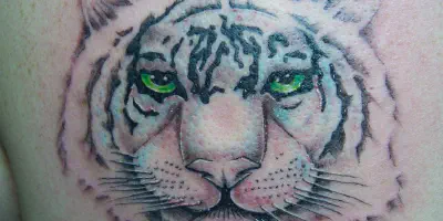 Die Bedeutung von Tätowierungen mit einem Tiger auf dem Arm