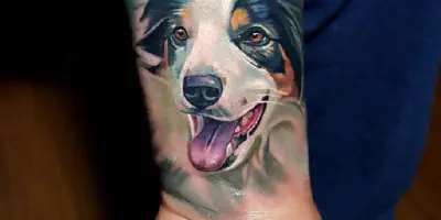 Border Collie Arm Tattoo