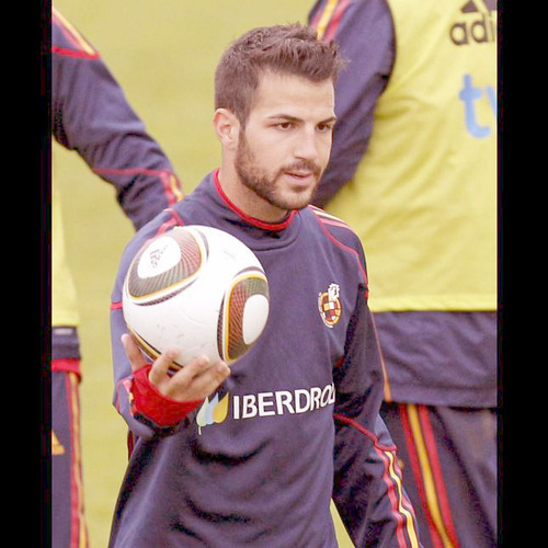 img/cesc-fabregas-arm-tattoo.jpg